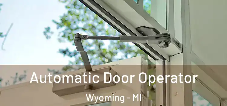 Automatic Door Operator Wyoming - MI
