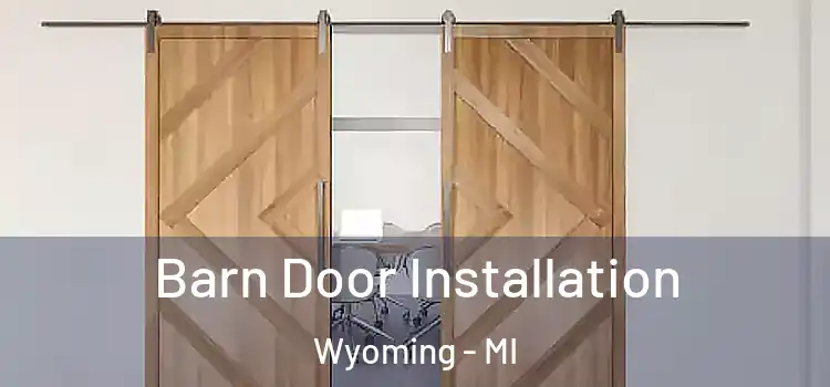  Barn Door Installation Wyoming - MI