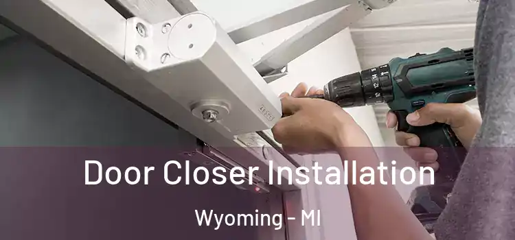  Door Closer Installation Wyoming - MI