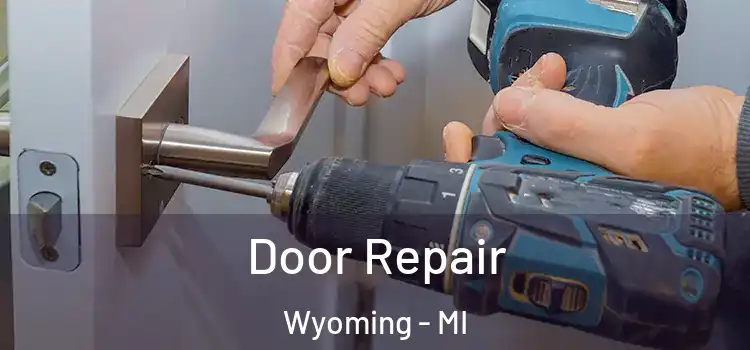  Door Repair Wyoming - MI