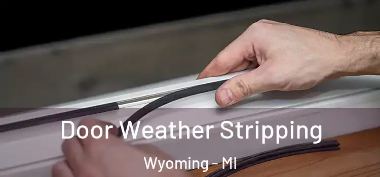  Door Weather Stripping Wyoming - MI