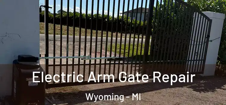  Electric Arm Gate Repair Wyoming - MI