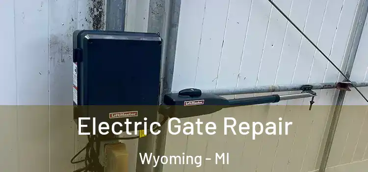  Electric Gate Repair Wyoming - MI