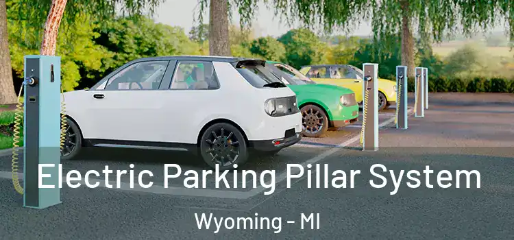  Electric Parking Pillar System Wyoming - MI