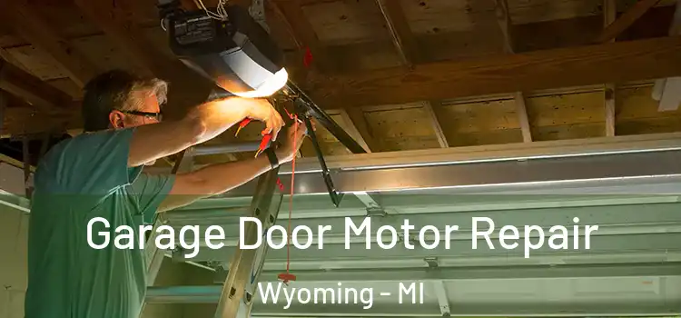  Garage Door Motor Repair Wyoming - MI
