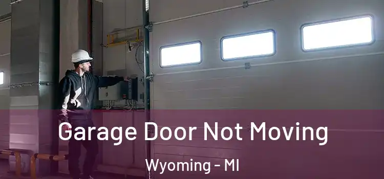  Garage Door Not Moving Wyoming - MI