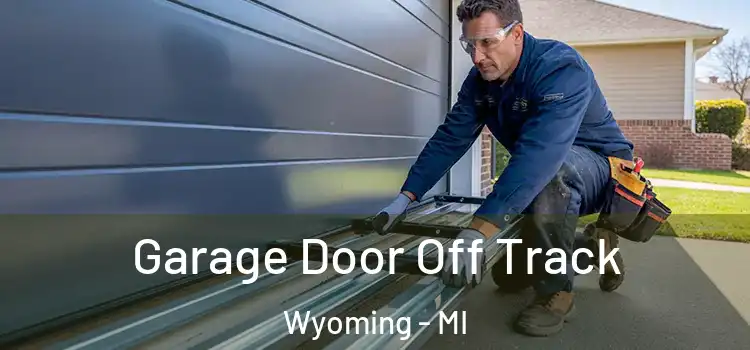  Garage Door Off Track Wyoming - MI