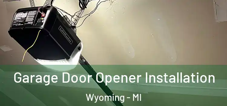  Garage Door Opener Installation Wyoming - MI