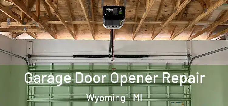  Garage Door Opener Repair Wyoming - MI