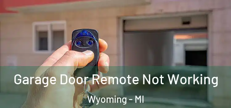  Garage Door Remote Not Working Wyoming - MI