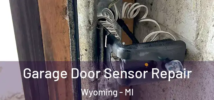  Garage Door Sensor Repair Wyoming - MI