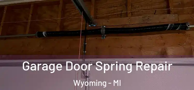  Garage Door Spring Repair Wyoming - MI