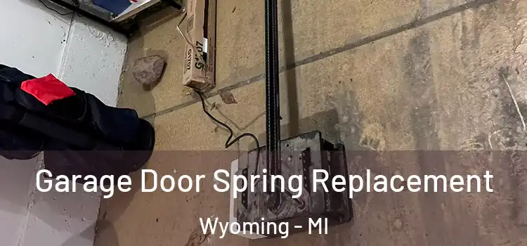  Garage Door Spring Replacement Wyoming - MI