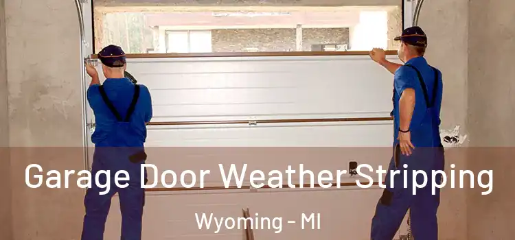  Garage Door Weather Stripping Wyoming - MI