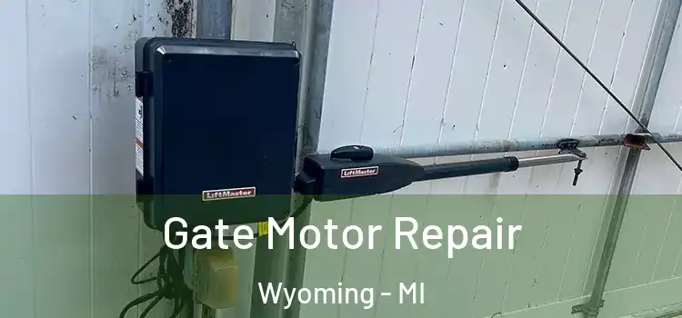  Gate Motor Repair Wyoming - MI