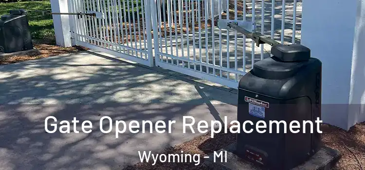  Gate Opener Replacement Wyoming - MI