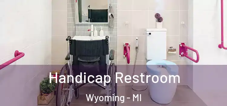  Handicap Restroom Wyoming - MI