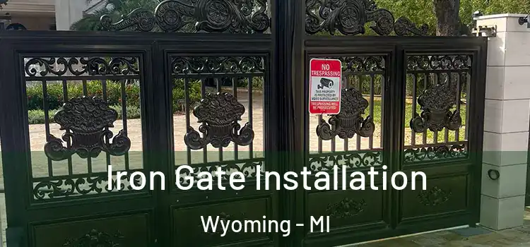  Iron Gate Installation Wyoming - MI