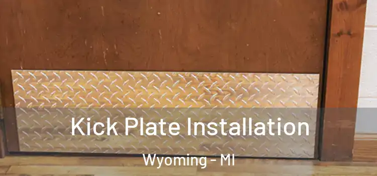 Kick Plate Installation Wyoming - MI