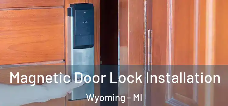  Magnetic Door Lock Installation Wyoming - MI