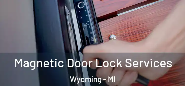  Magnetic Door Lock Services Wyoming - MI