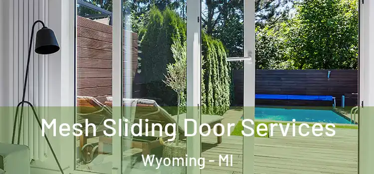  Mesh Sliding Door Services Wyoming - MI