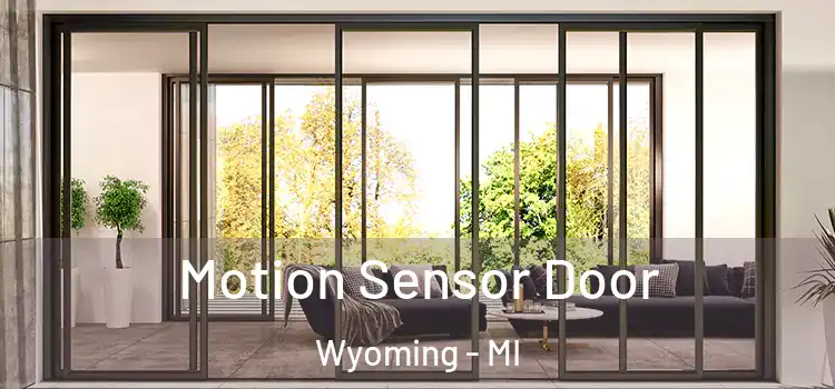  Motion Sensor Door Wyoming - MI