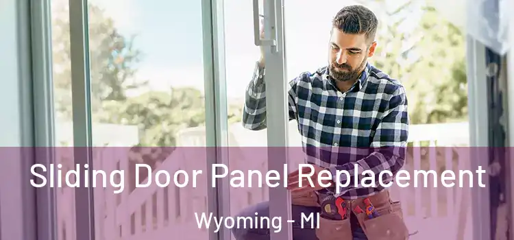  Sliding Door Panel Replacement Wyoming - MI