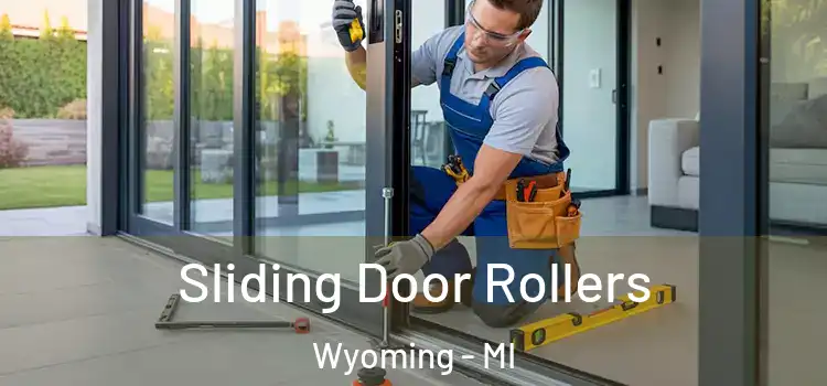  Sliding Door Rollers Wyoming - MI