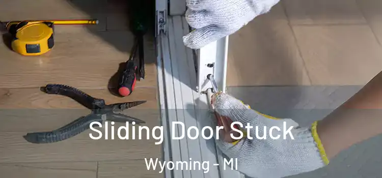  Sliding Door Stuck Wyoming - MI