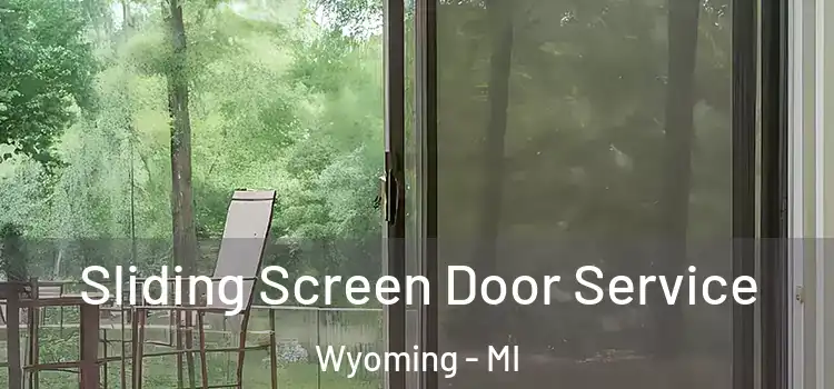  Sliding Screen Door Service Wyoming - MI