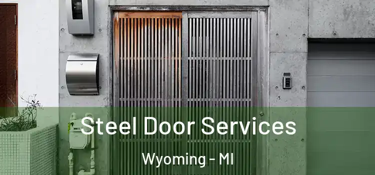  Steel Door Services Wyoming - MI